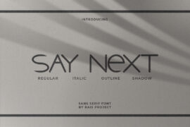 Say Next Demo Font Family