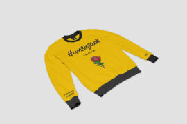 Image 5