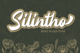 Silintho – Personal Use Font