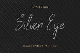 Silver Eye Demo Font