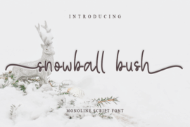 snowball bush Font