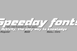 Speeday Font Family