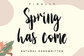 Spring has come – personal use Font