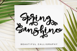 Spring Sunshine _ Personal Use Font