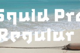 Squid Pro Font