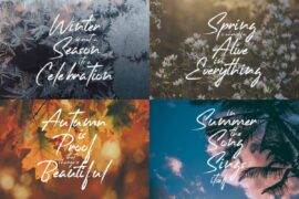 Standups Demo Font