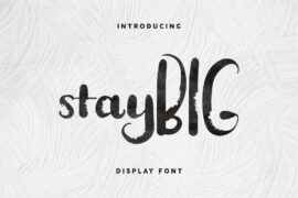 Stay BIG Demo Font