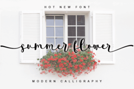 summer flower- personal use Font