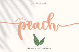 Summer Peach – Personal Use Font