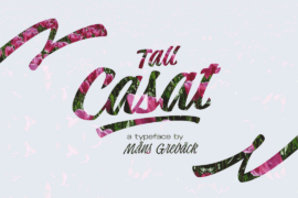 Tall Casat Font Family