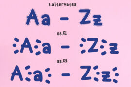 Gallery Image 5
