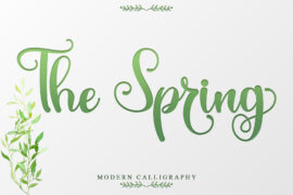 The Spring – Personal Use Font