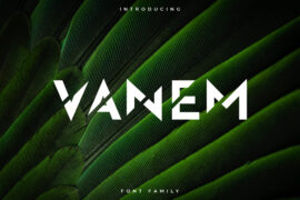 VanemNonCommercial Font