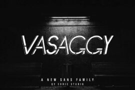 Vasaggy Demo Font Family