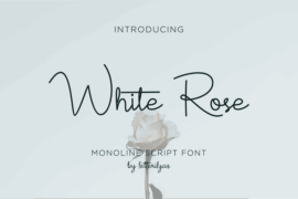 White Rose Font
