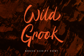 Wild Grook – Personal Use Font