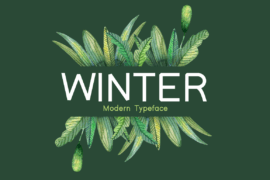 Winter Font