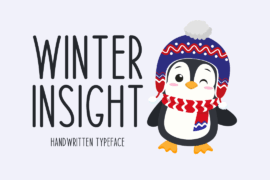 Winter Insight Font