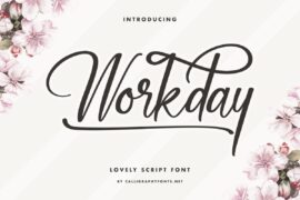 Workday Demo Font