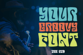 Your Groovy Font Font