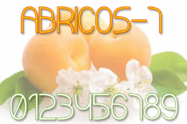 ABRICOS 7 Font