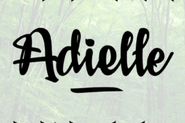 Adielle PERSONAL USE ONLY Font