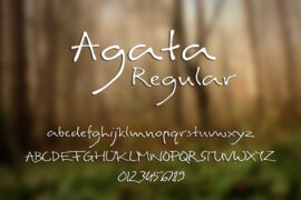 Agata Font Family