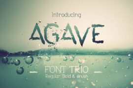 Agave Font Family