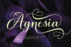Agnesia Font