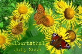 Albertsthal Typewriter Font