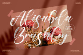 Alisabela Brushley Font Family