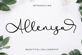 Allenisa – Personal Use Font