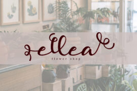 Allie Ethan Font