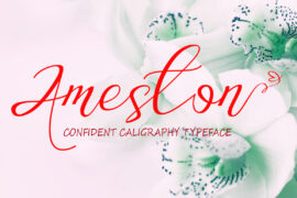 Ameston Font Family