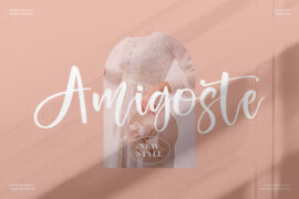 Amigoste Font Family
