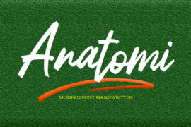 Anatomi Font Family