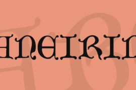 Aneirin Font