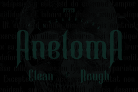 Aneloma Demo Rough Font
