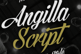 Angilla Script PERSONAL USE Font