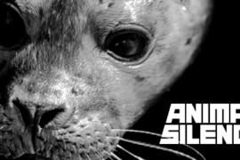 Animal Silence Font
