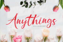 Anythings Font