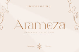 Arameza Demo Font Family