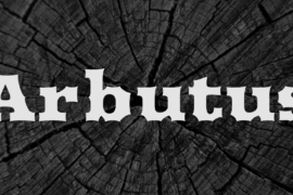 Arbutus Font