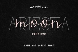 Ariesta Moon Demo Font Family