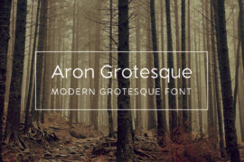 Aron Grotesque Font Family
