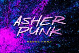Asher Punk Demo Version Font