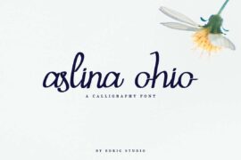 Aslina Ohio Demo Font