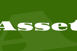 Asset Font