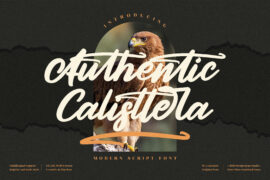 Authentic Calisttera Font Family
