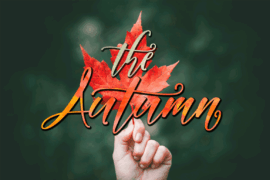 Autumn Font